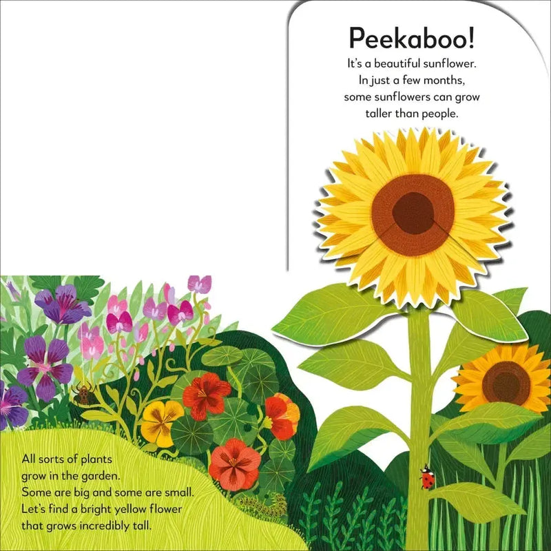Pop-Up Peekaboo! Garden US - Board book