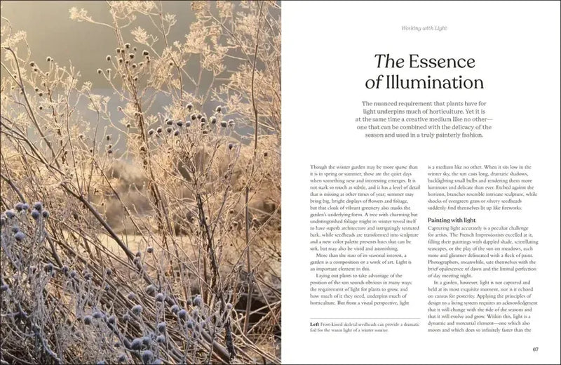 The Winter Garden US - Hardback