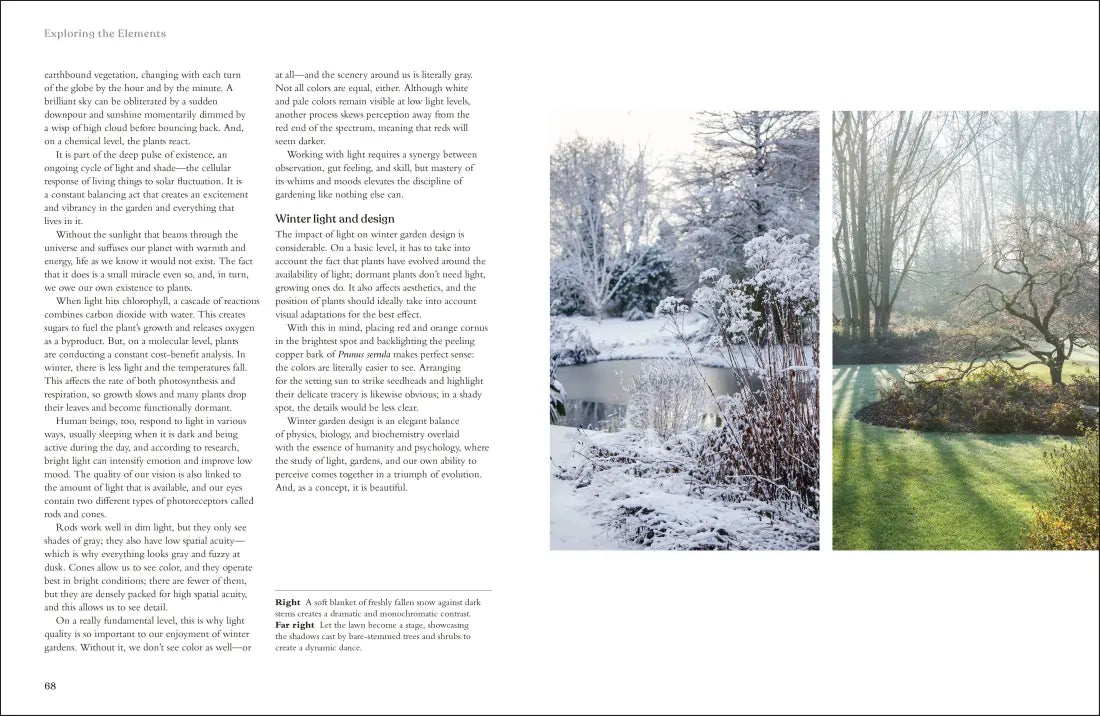 The Winter Garden US - Hardback