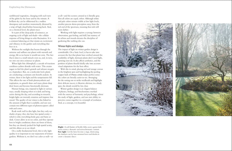 The Winter Garden US - Hardback