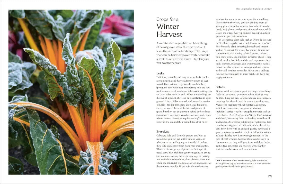 The Winter Garden US - Hardback