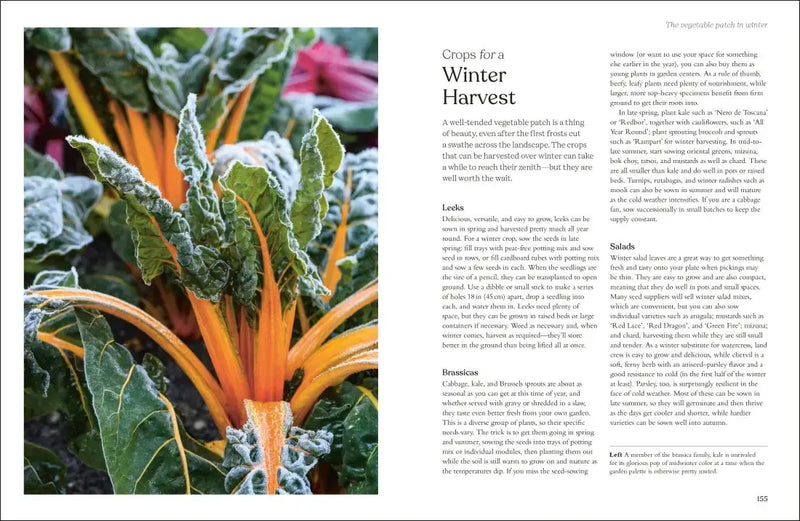 The Winter Garden US - Hardback