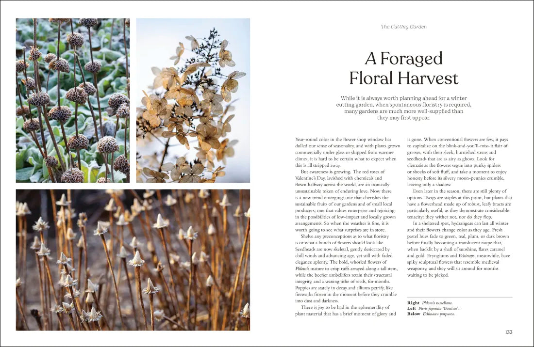 The Winter Garden US - Hardback
