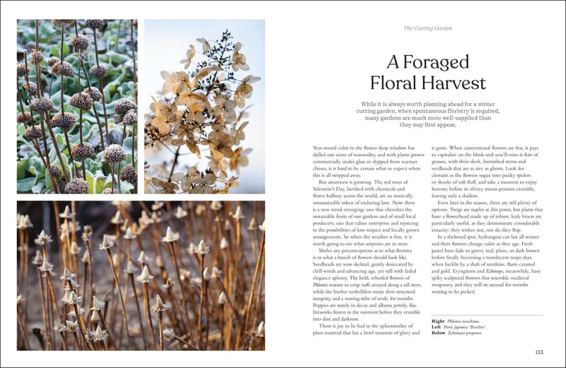 The Winter Garden US - Hardback