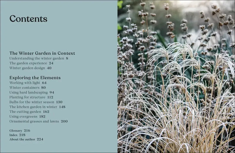 The Winter Garden US - Hardback