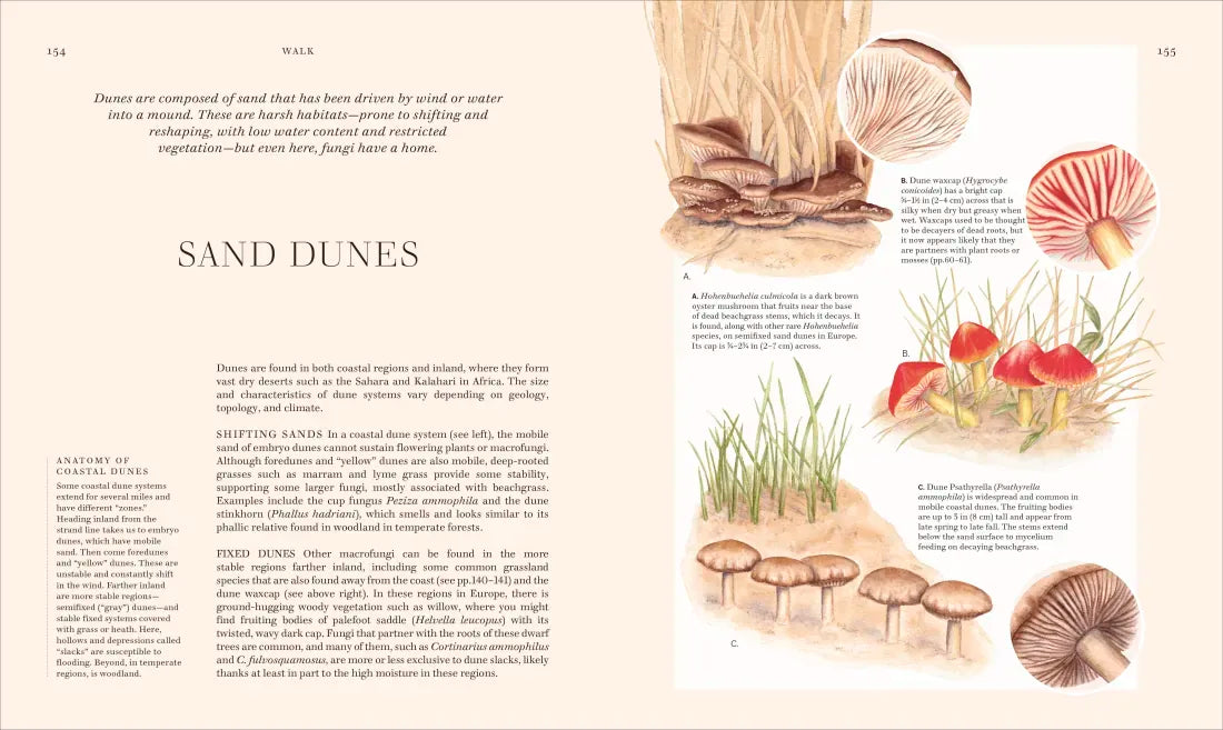 Fungi US - Hardback