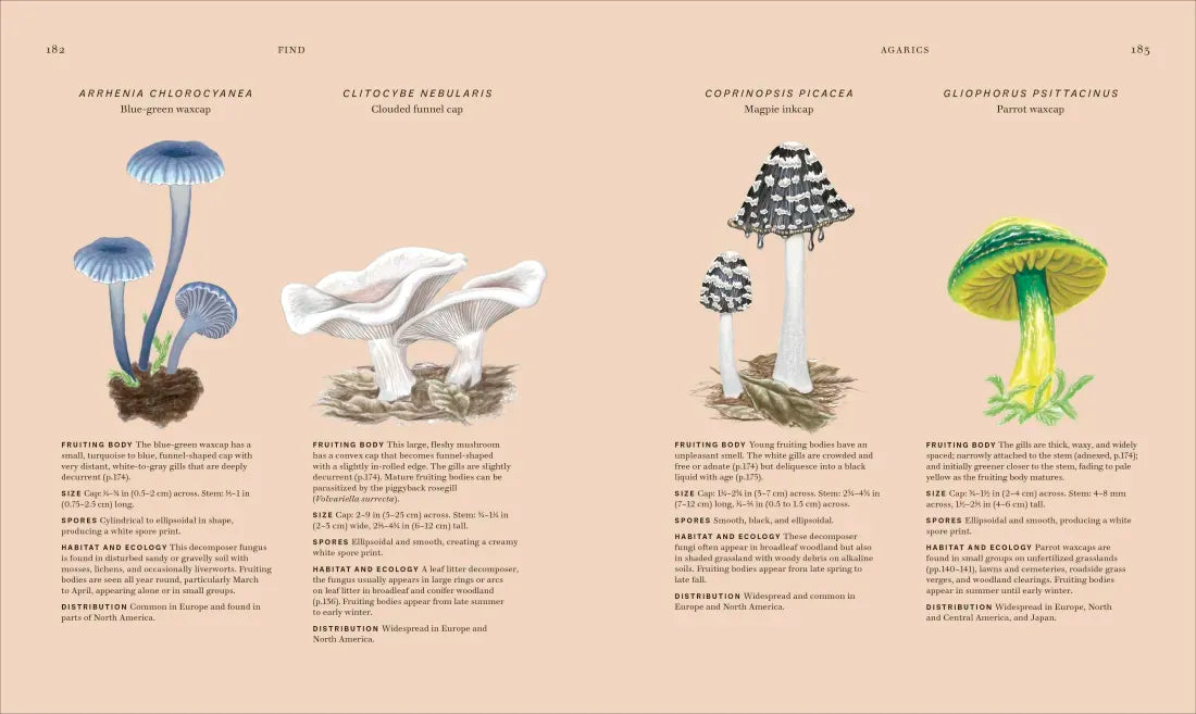 Fungi US - Hardback
