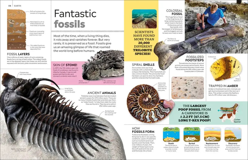 Eyewitness Encyclopedia of Everything US - Hardback