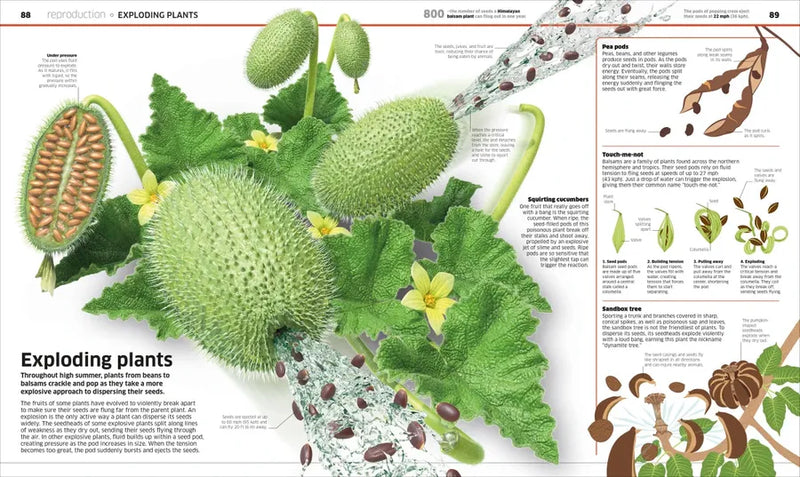 Knowledge Encyclopedia Plants and Fungi! US - Hardback