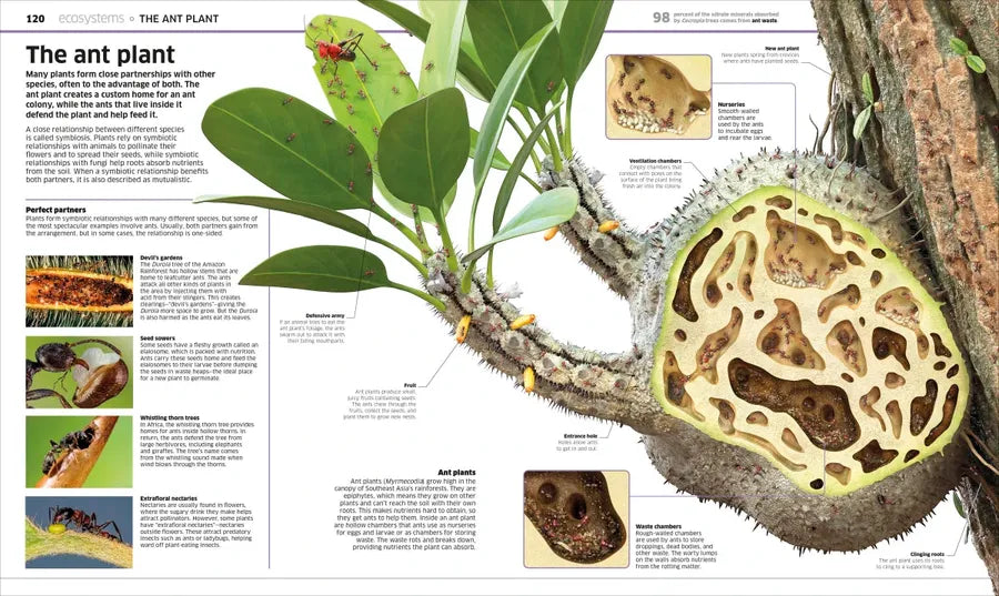 Knowledge Encyclopedia Plants and Fungi! US - Hardback