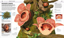 Knowledge Encyclopedia Plants and Fungi! US - Hardback