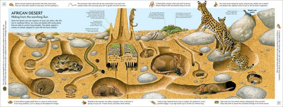 Life Underground US - Hardback