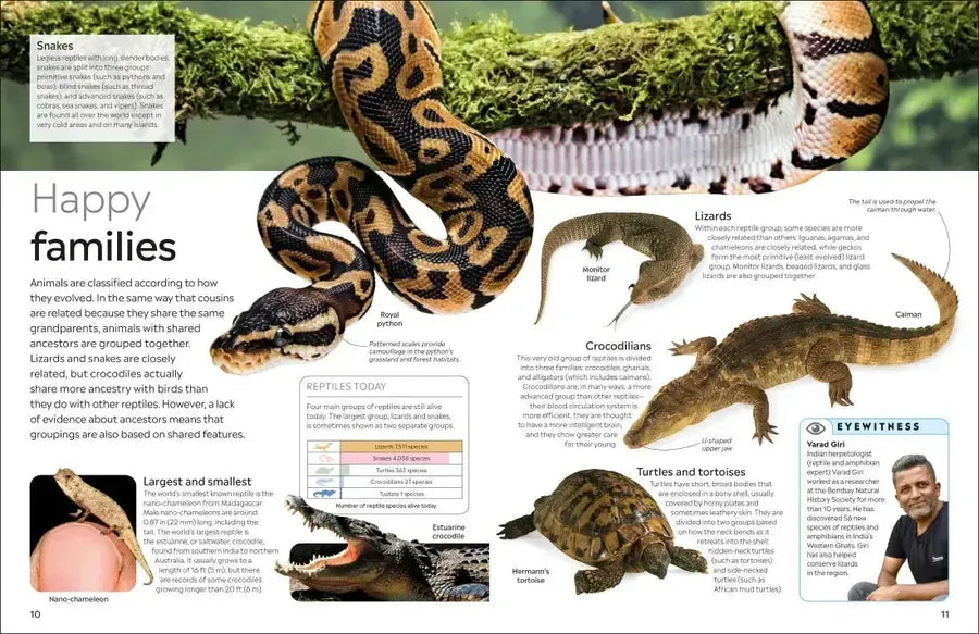 Eyewitness Reptile US - Hardback