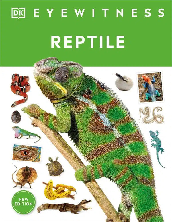 Eyewitness Reptile-Children’s / Teenage general interest: Reptiles and amphibians-買書書 BuyBookBook