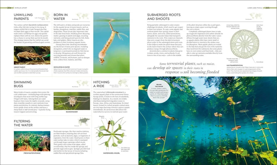Habitats US - Hardback
