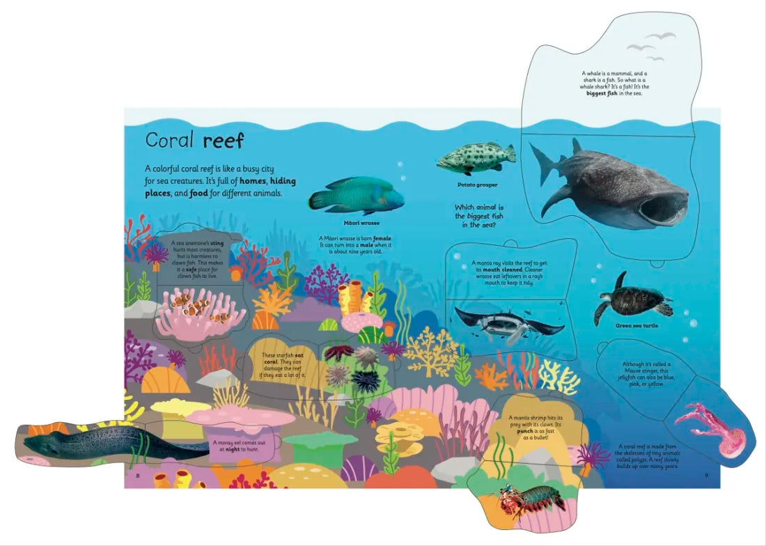 My Very Important Lift-the-Flap Book: Animals US - Board book