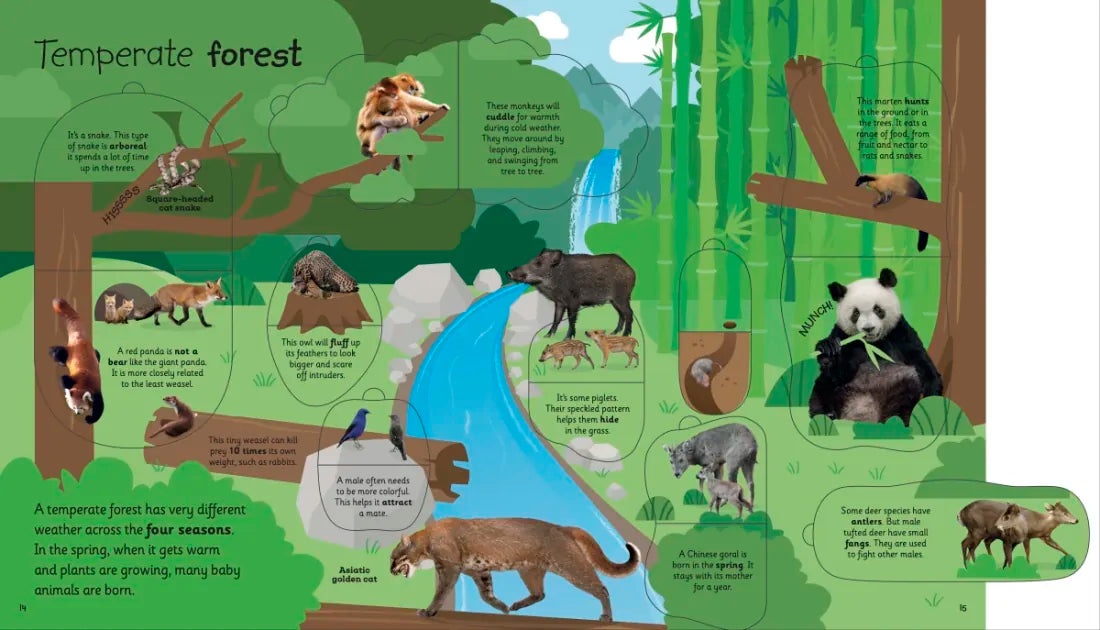 My Very Important Lift-the-Flap Book: Animals US - Board book