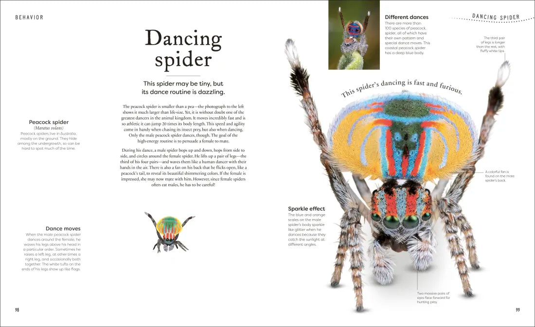 Weird and Wonderful Nature US - Hardback