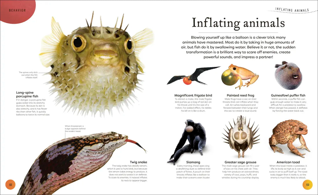 Weird and Wonderful Nature US - Hardback