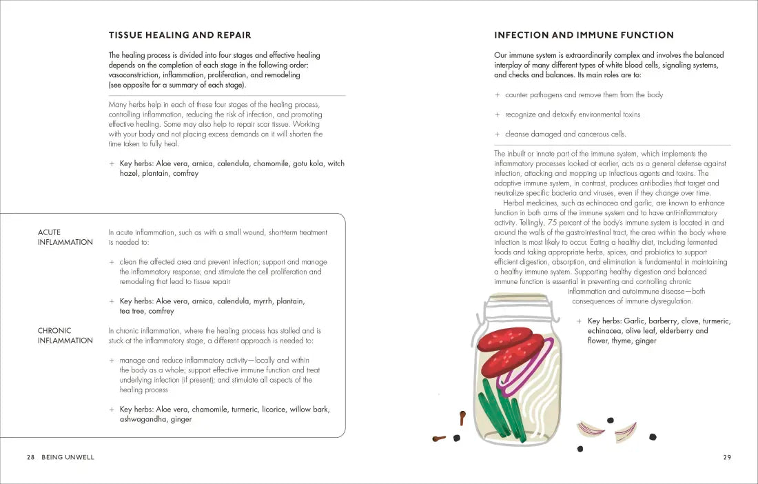 The Home Herbal US - Hardback