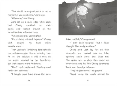 The Secret Explorers and the Cave Crisis