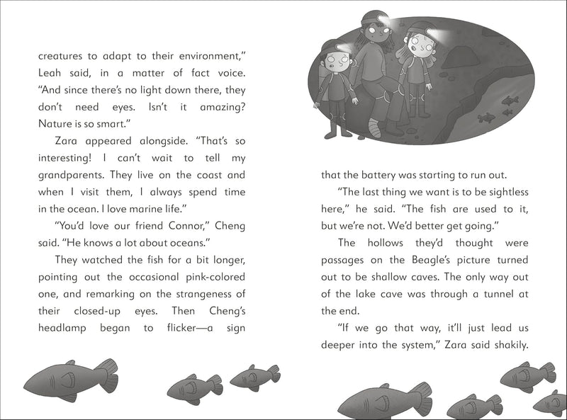 The Secret Explorers and the Cave Crisis