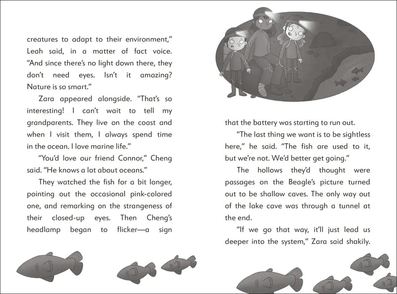 The Secret Explorers and the Cave Crisis US - Paperback / softback