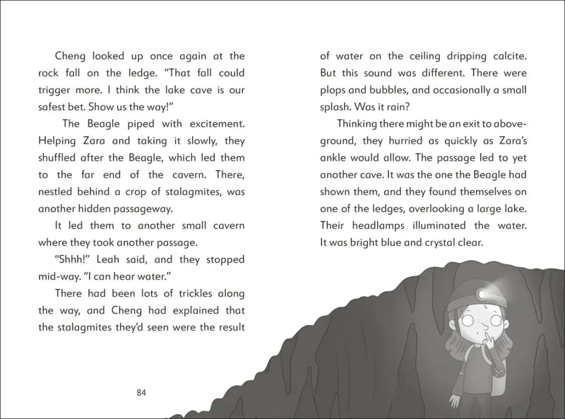 The Secret Explorers and the Cave Crisis US - Hardback