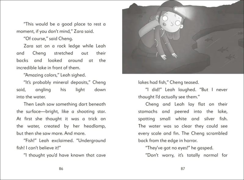 The Secret Explorers and the Cave Crisis US - Hardback