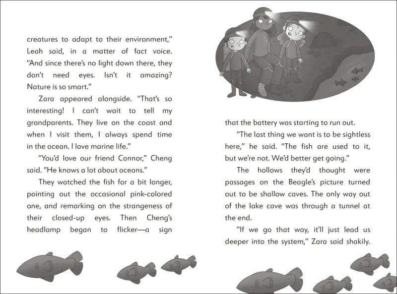 The Secret Explorers and the Cave Crisis US - Hardback