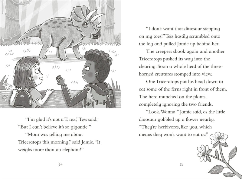 Dinosaur Club Collection One US - Multiple-component retail product, boxed