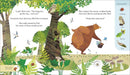 Jonny Lambertâ€™s Bear and Bird: Find a Footprint US - Hardback