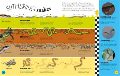 Everything You Need to Know About Snakes US - Hardback