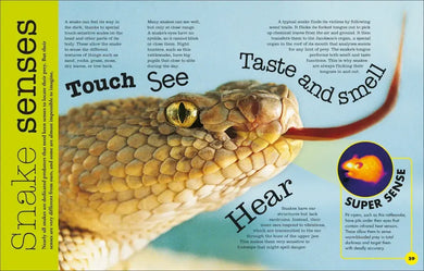 Everything You Need to Know About Snakes US - Hardback