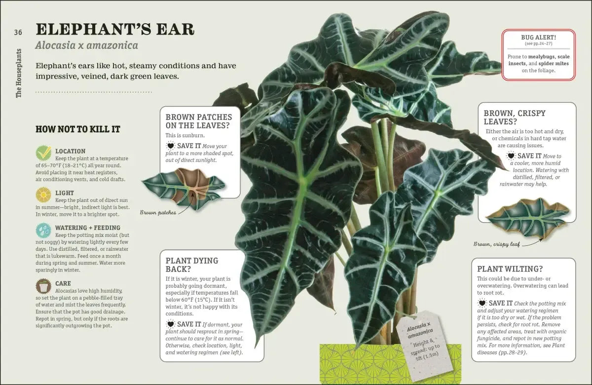 How Not to Kill Your Houseplant New Edition US - Hardback