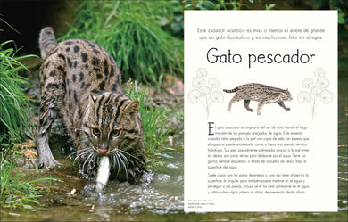 Maravillas del mundo acuático (An Anthology of Aquatic Life) interior 4 (ISBN 9780744089219)