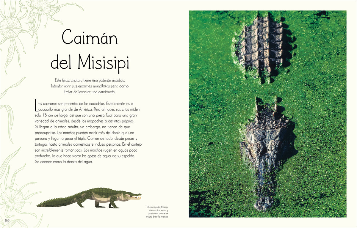 Maravillas del mundo acuático (An Anthology of Aquatic Life) interior 5 (ISBN 9780744089219)