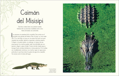 Maravillas del mundo acuático (An Anthology of Aquatic Life) interior 5 (ISBN 9780744089219)