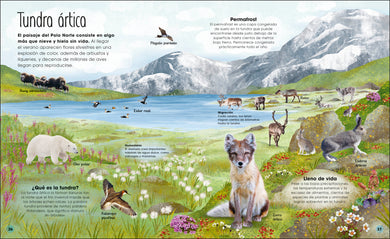 La vida secreta del hielo (The Frozen Worlds) interior 3 (ISBN 9780744089233)