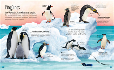 La vida secreta del hielo (The Frozen Worlds) interior 5 (ISBN 9780744089233)