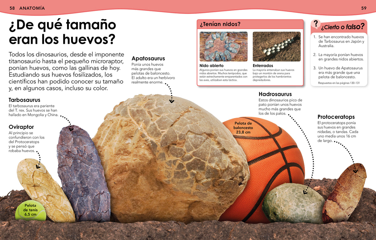 ¿Sabías qué? Dinosaurios (Did You Know? Dinosaurs) interior 1 (ISBN 9780744089240)
