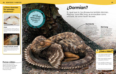 ¿Sabías qué? Dinosaurios (Did You Know? Dinosaurs) interior 2 (ISBN 9780744089240)