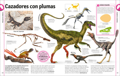 El libro de los dinosaurios (The Dinosaur Book) interior 5 (ISBN 9780744089271)