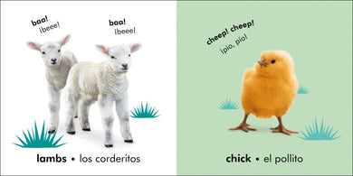 Bilingual Baby Touch and Feel: Baby Animals - Los animales bebÃ© US - Board book