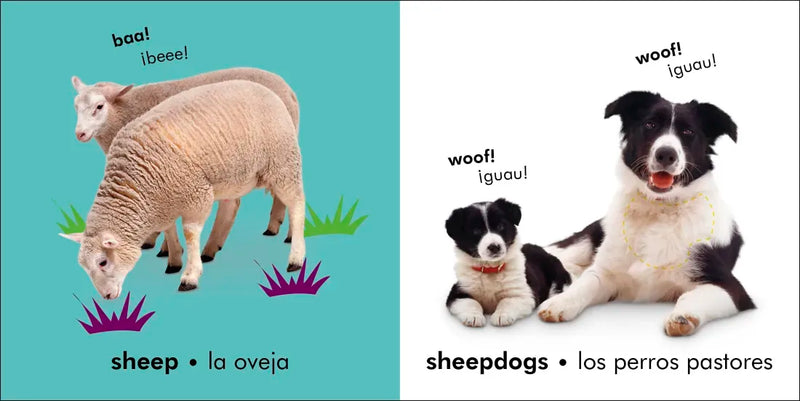 Bilingual Baby Touch and Feel: Farm - La granja US - Board book