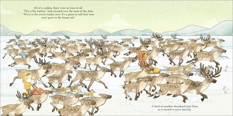 Adventures with Finn and Skip: Arctic US - Hardback