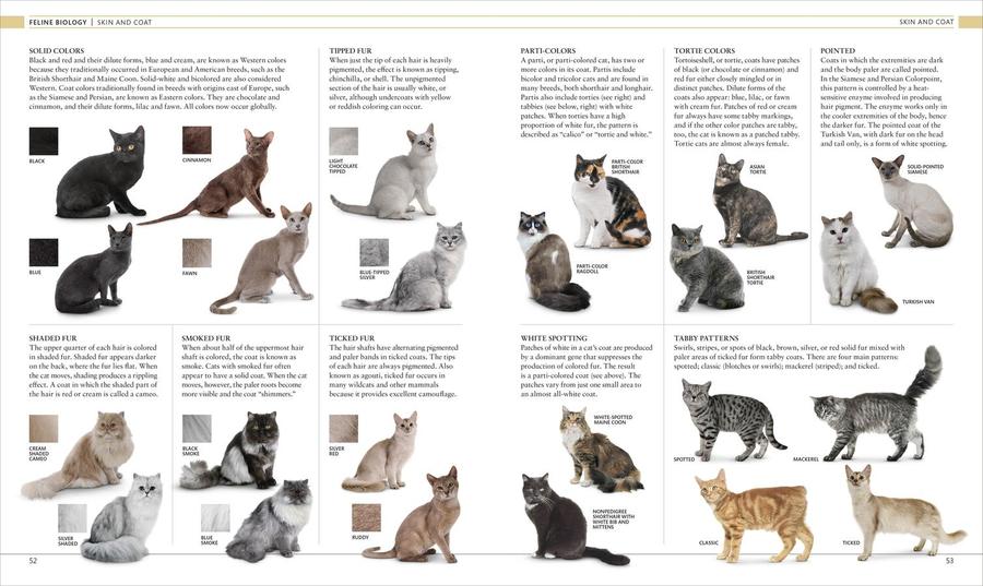The Cat Encyclopedia US - Hardback