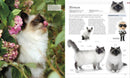 The Cat Encyclopedia US - Hardback