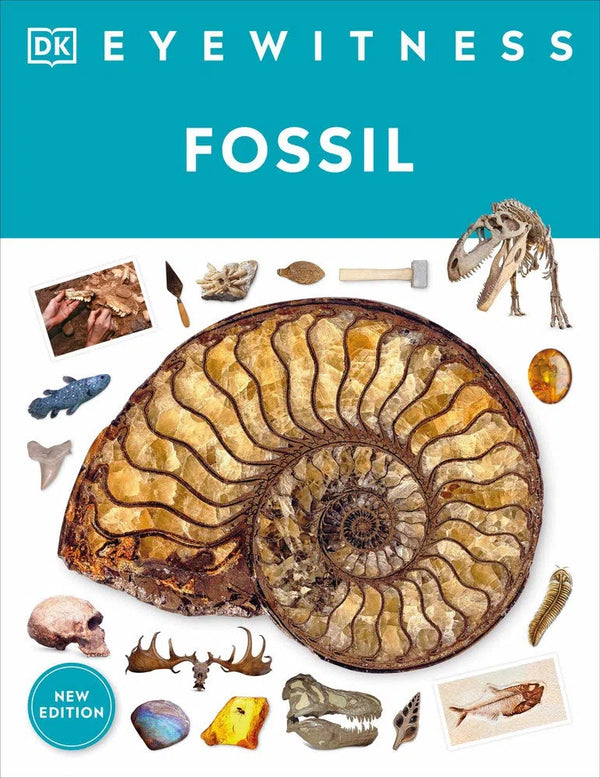 Eyewitness Fossil-Children’s / Teenage general interest: Dinosaurs and prehistoric world-買書書 BuyBookBook