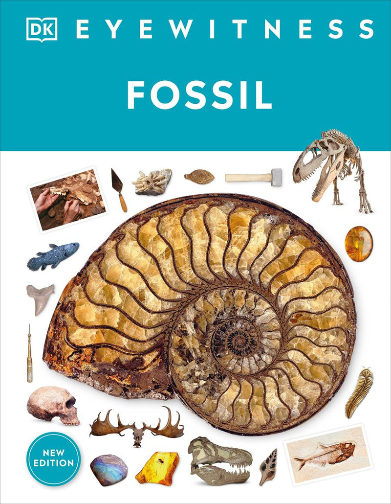 Eyewitness Fossil-Children’s / Teenage general interest: Nature and animals-買書書 BuyBookBook